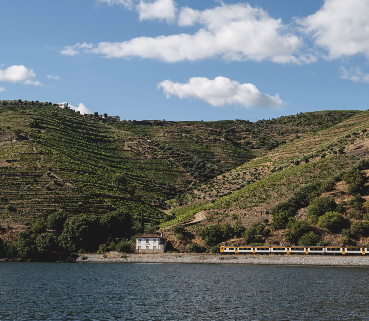 imagem no douro