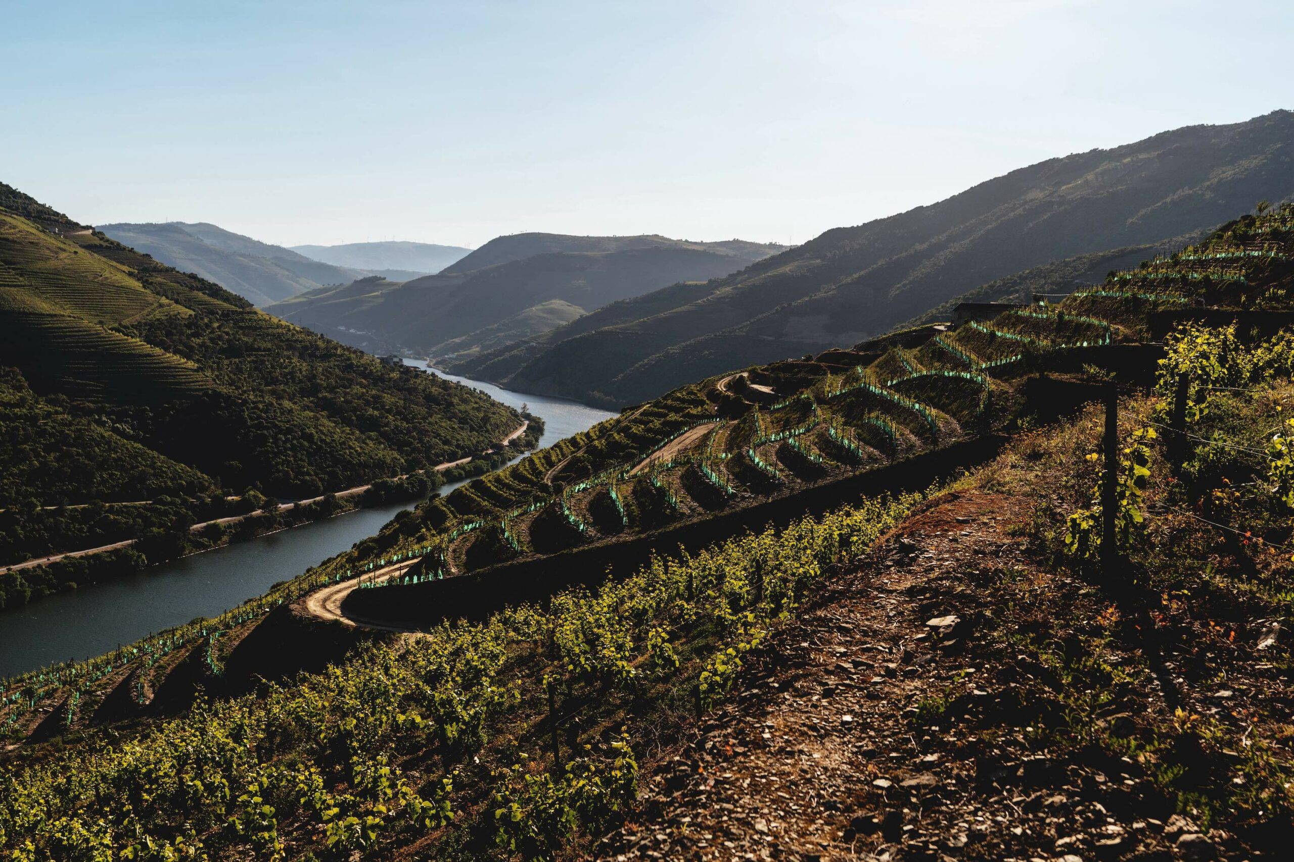 paisagem do douro