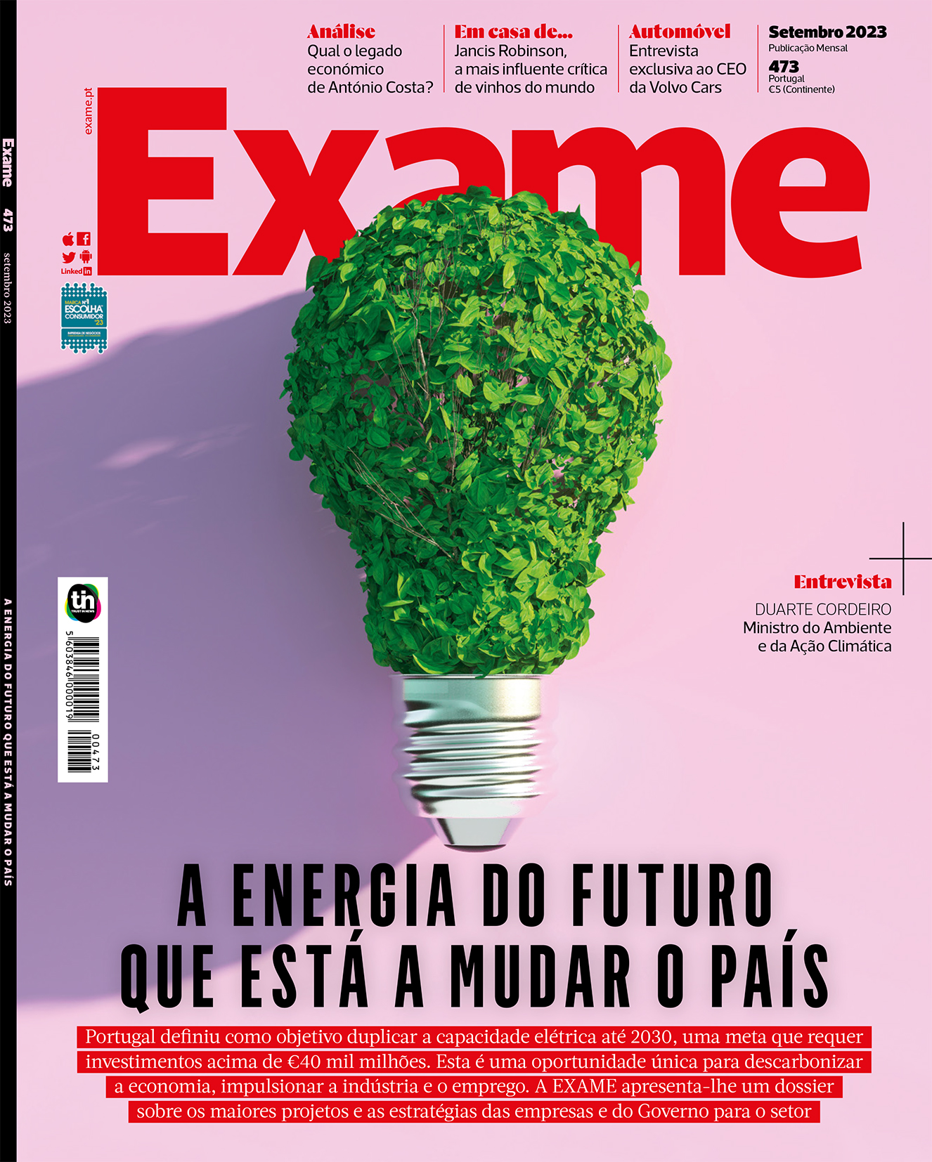 imagem decorativa da noticia