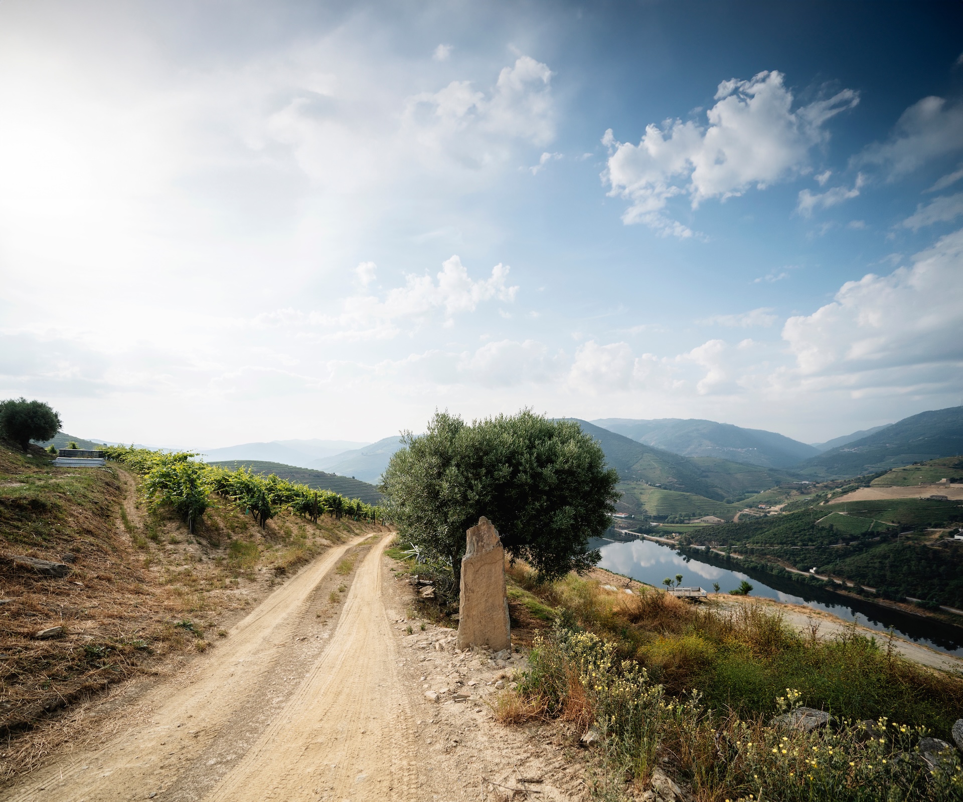 O NOSSO COMPROMISSO COM UM DOURO MAIS SUSTENTÁVEL
