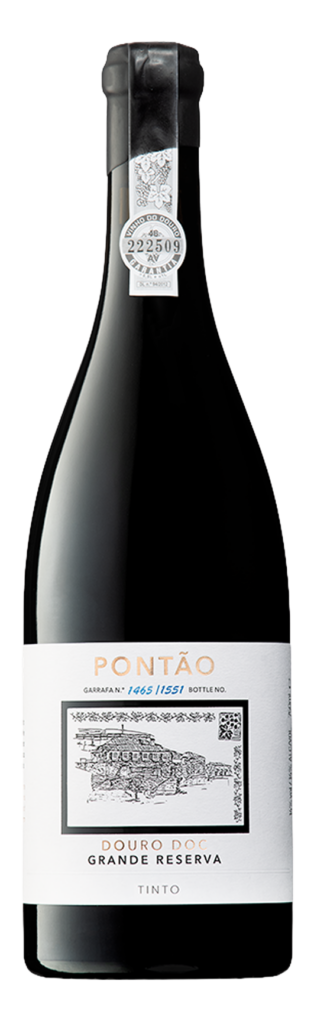 Pontão
