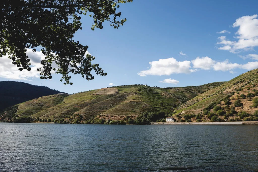 Paisagem das quintas da Menin Douro Estates