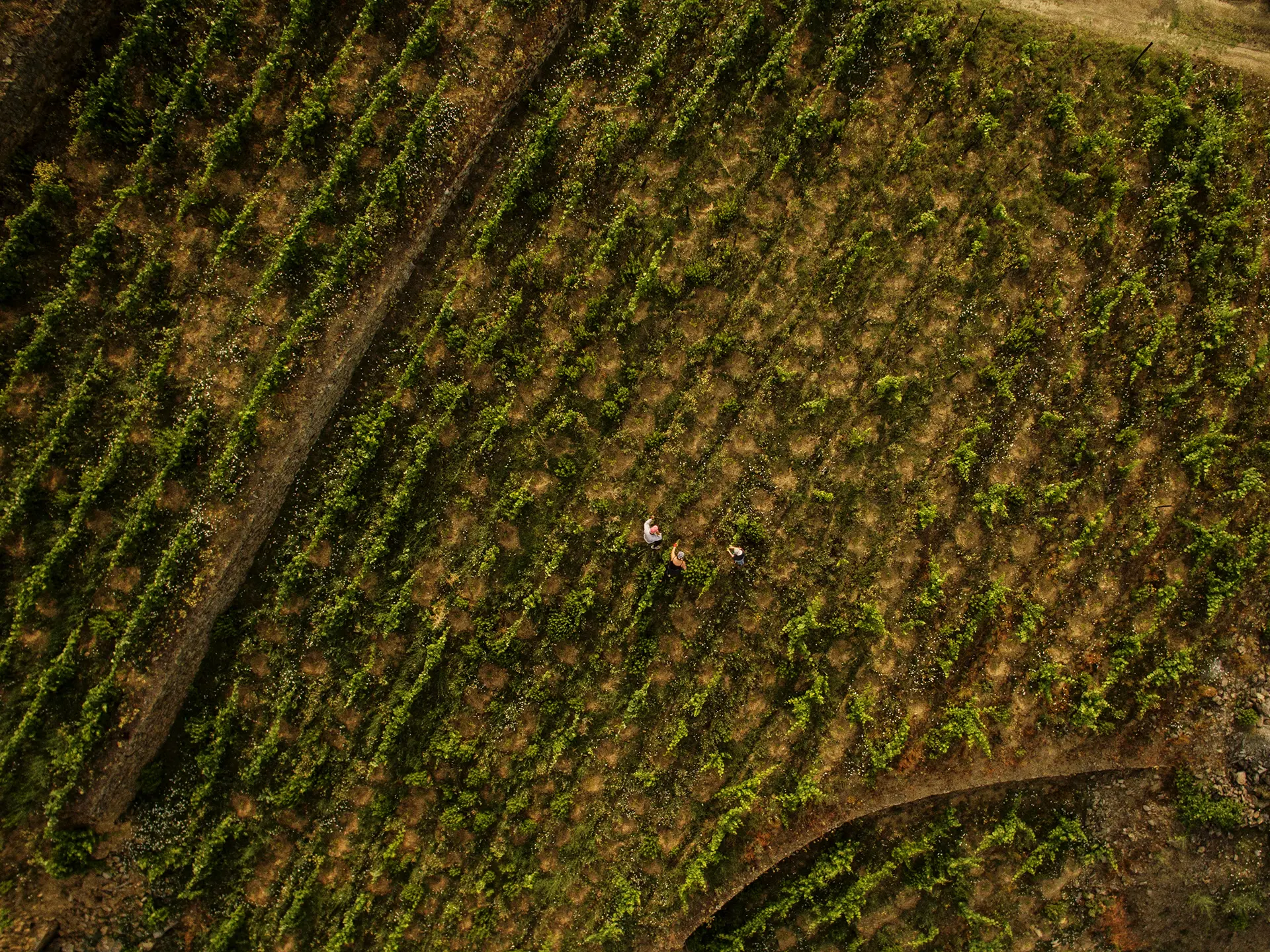 O NOSSO COMPROMISSO COM UM DOURO MAIS SUSTENTÁVEL
